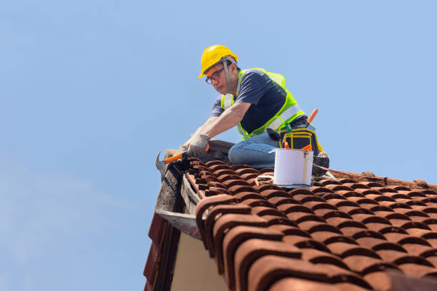 Roof Insulation